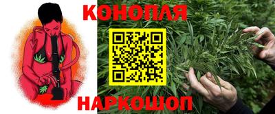 прущий лед Кингисепп