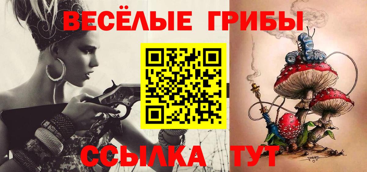 Галлюциногенные грибы прущие грибы Красноярск
